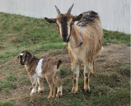 Molly and baby Alice