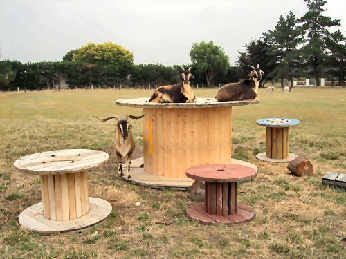 Hughie playing Hide and Seek