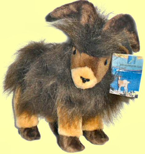 Arapawa Goat soft toy